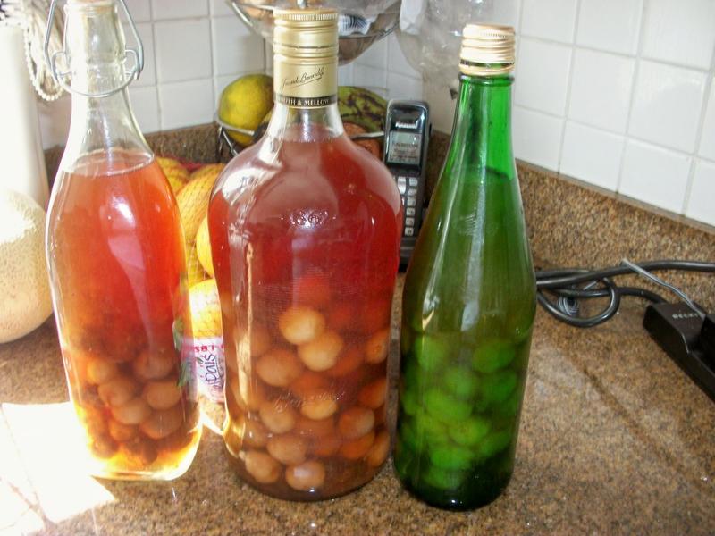 Pitorro Puerto Rican